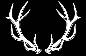 Twelve Point Property Management